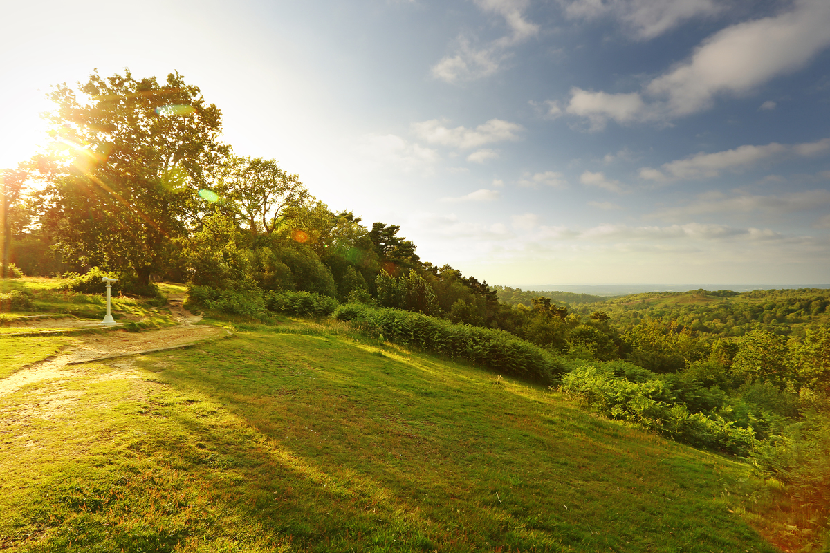 Haslemere3