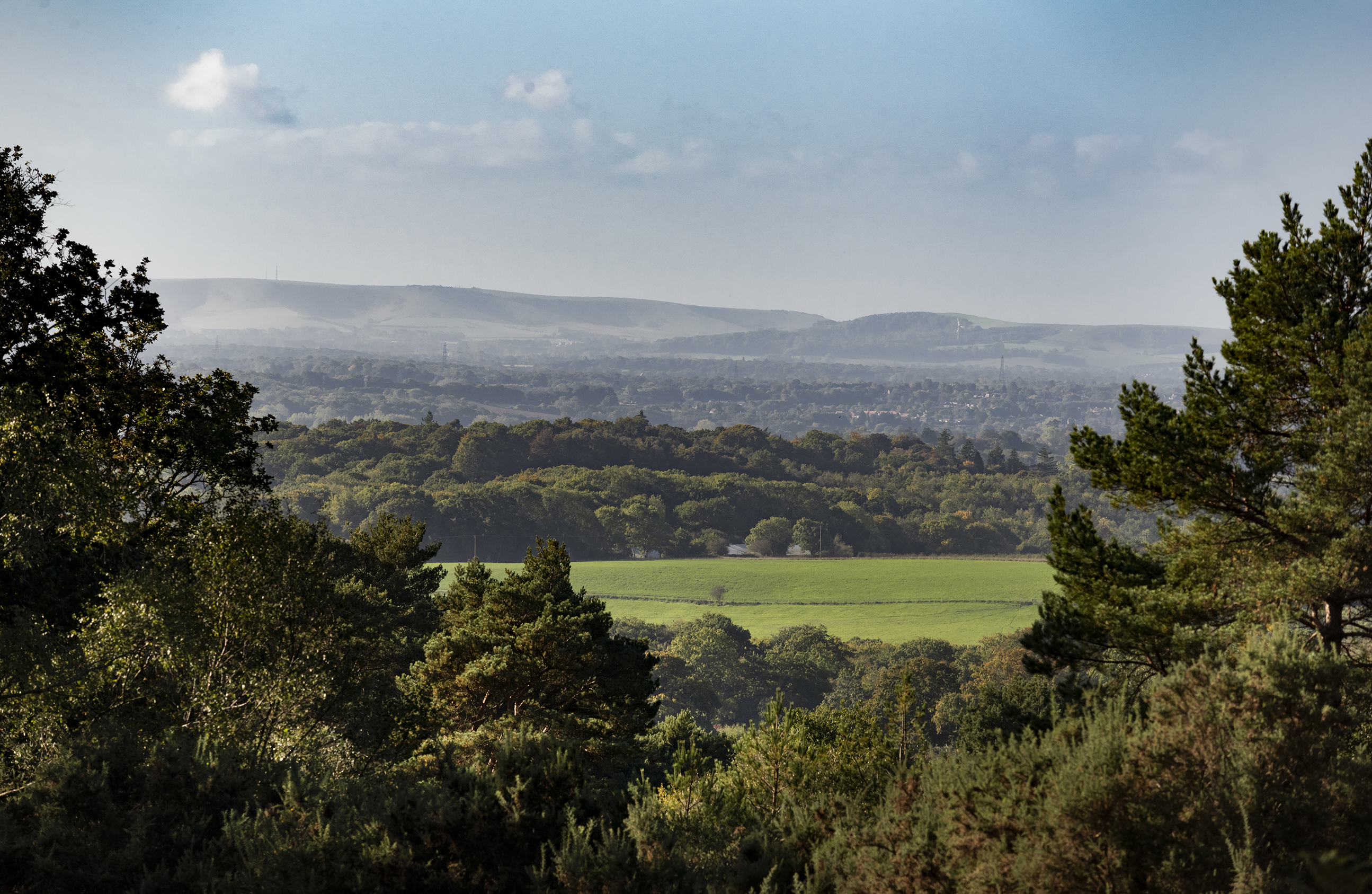 The Brambles View