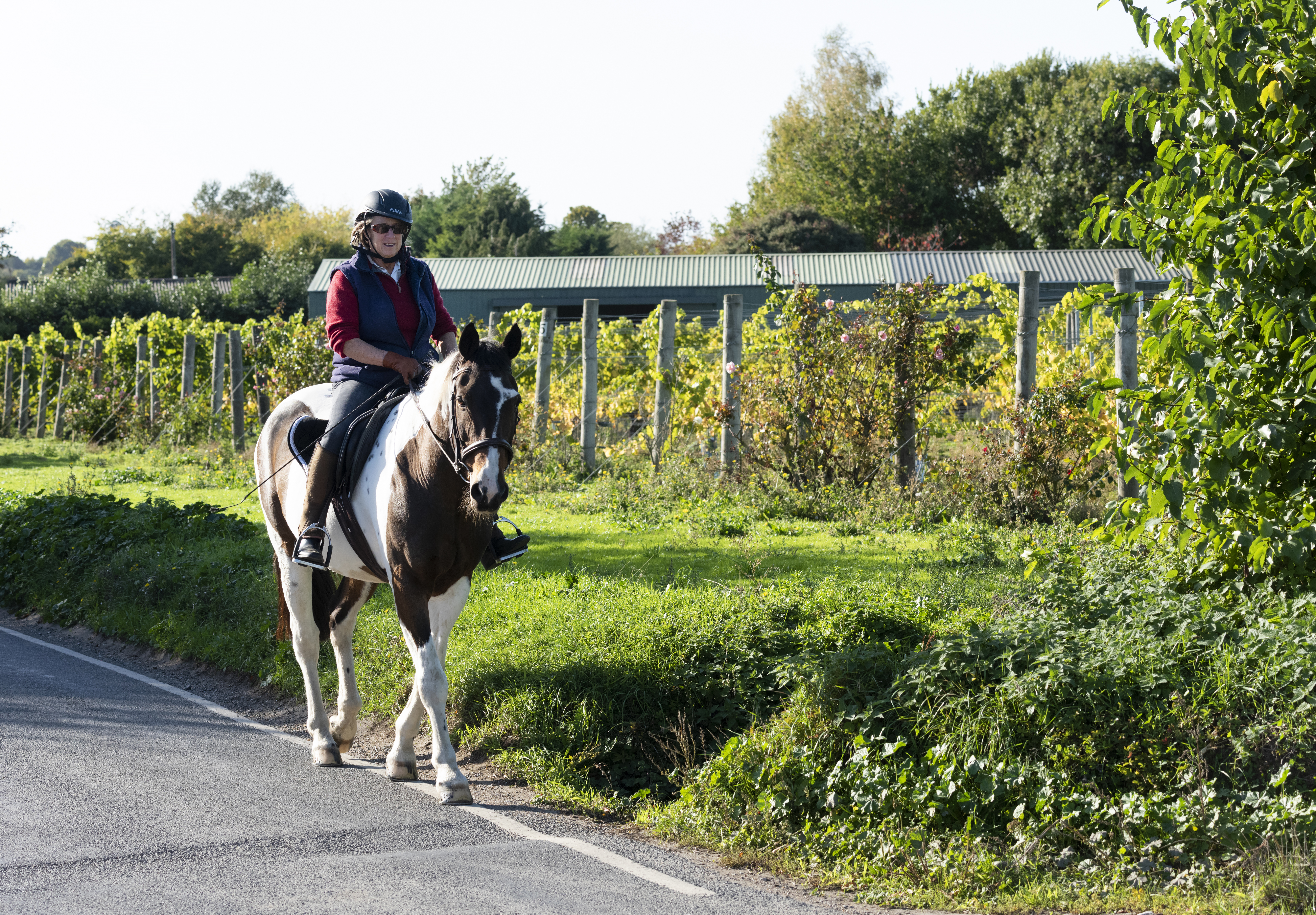 Horse riding