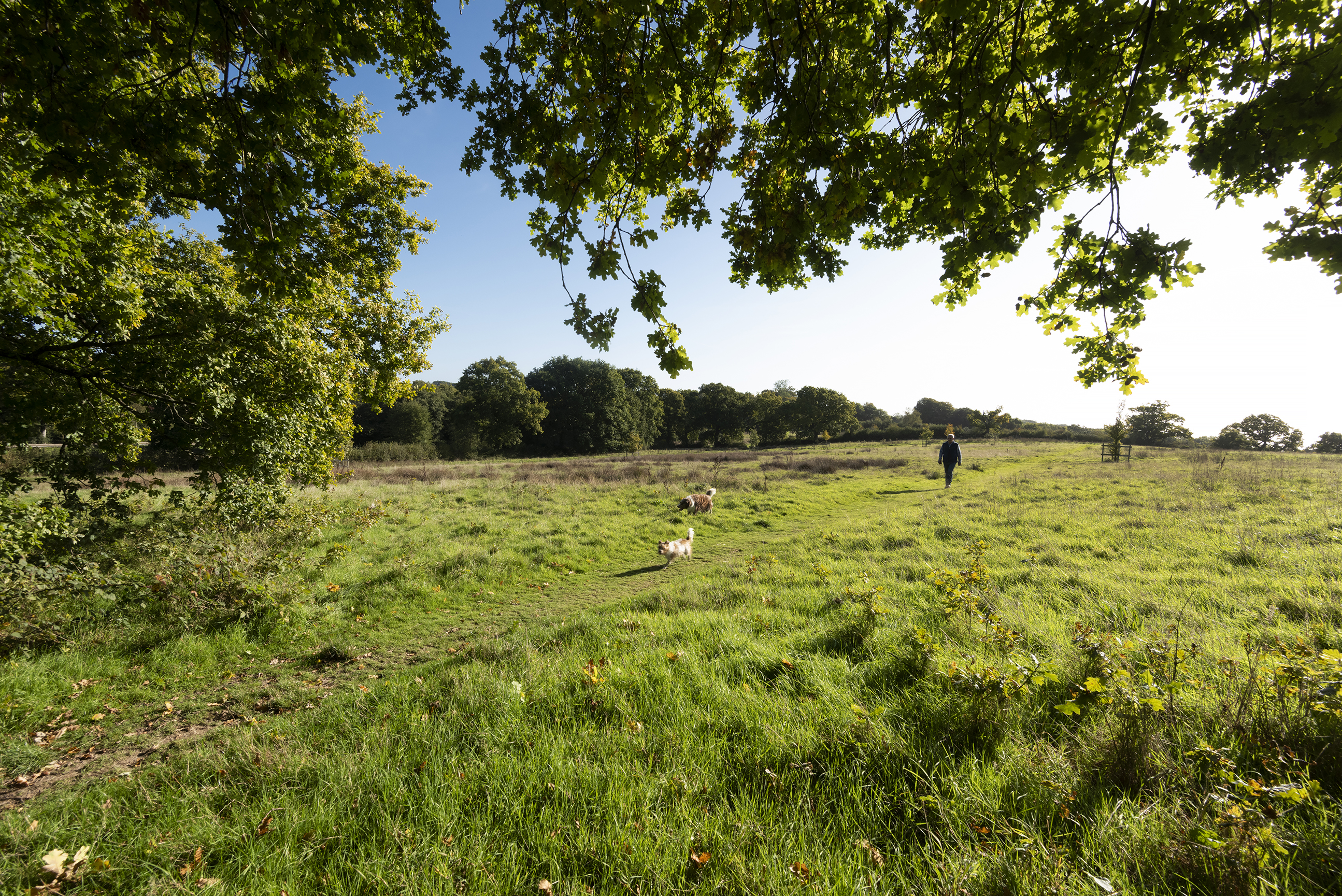 The Brambles AONB